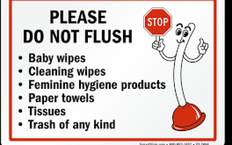 Please Don't Flush